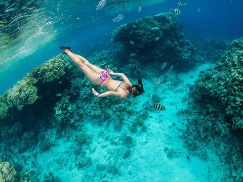 Maldives Dive: Explore Dive Sites, Marine Life, Seasons and Underwater Experiences
