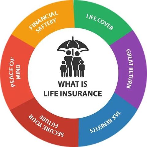 Life Insurance: Guide to Financial Protection Through Life's Big Moments
