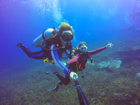 Mexico Cenote Diving Tours: Sites, Safety and Travel Guide